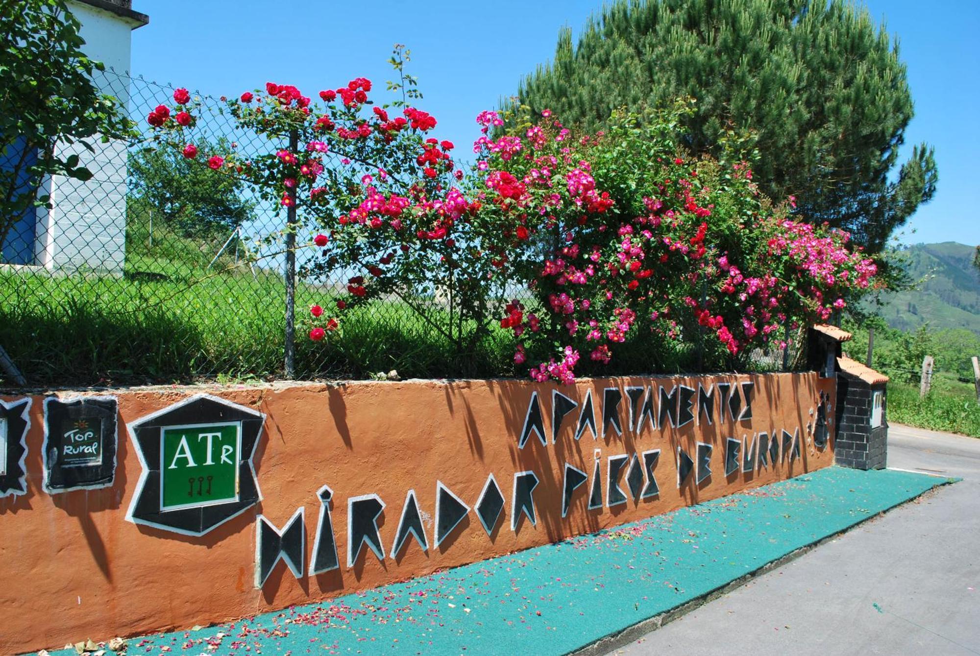 Aptos Rurales Mirador Picos De Europa Apartment Cangas de Onis Exterior photo